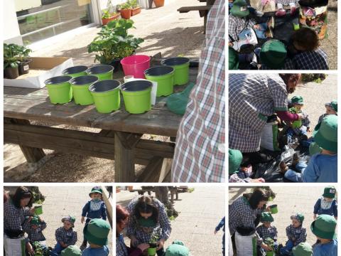 Os pequenos da creche (salas de 1 e dois anos, no total de 65 crianças) prepararam vasos com plantação de morangos para oferecer no dia da Mãe